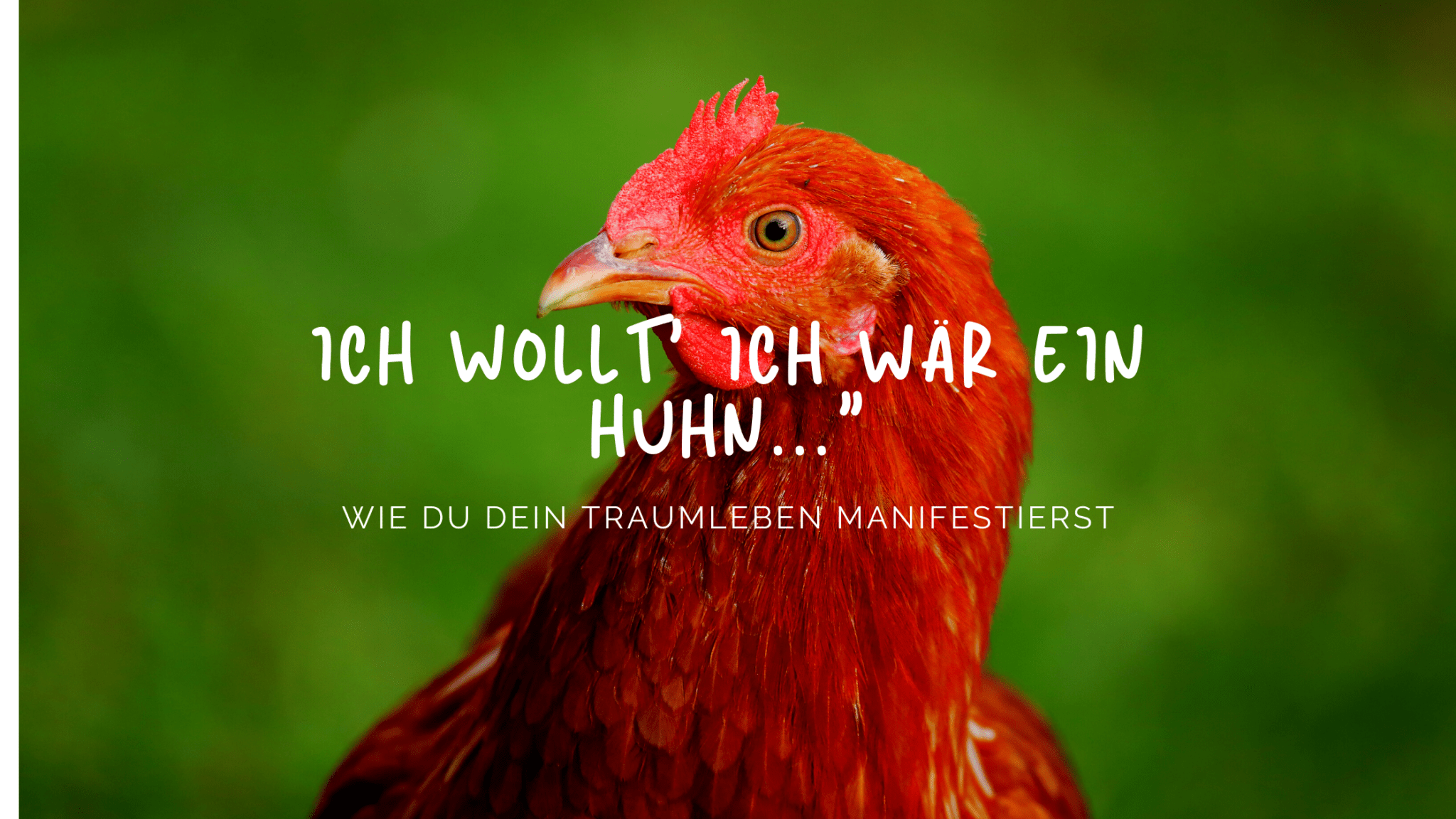 Ich wollt ich wär ein Huhn - Wie du dein Traumleben manifestierst ...